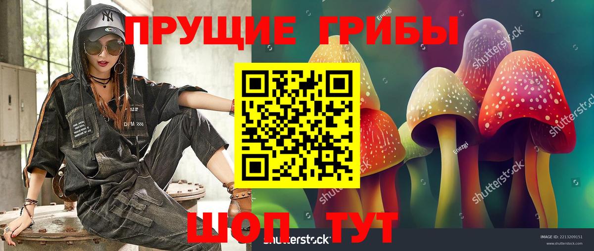 Галлюциногенные грибы MAGIC MUSHROOMS Зима