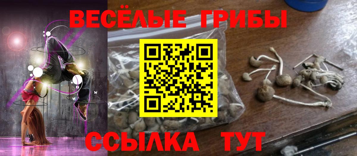 Псилоцибиновые грибы прущие грибы  Псилоцибиновые грибы Psilocybine cubensis  Вход с VPN  Зима 